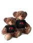 Preview: Teddy mit Tshirt REALSCHULE WALDMÜNCHEN - 35 cm - Plüschtier