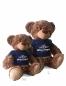 Preview: Teddy mit Tshirt WOLPERTINGER - 35 cm - Plüschtier