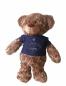 Preview: Teddy mit Tshirt ZUGSPITZE - 35 cm - Plüschtier