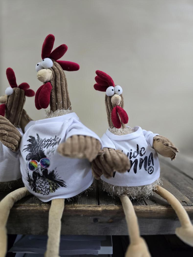 Henne mit Tshirt WUIDE HENNA -  cm - Plüschtier