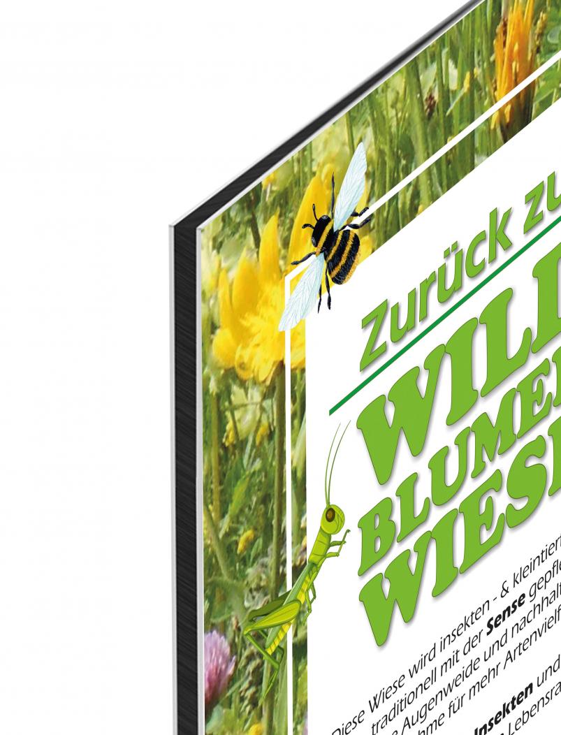 Preview: puranda Werbebanner - SENSENVEREIN - Schild A3