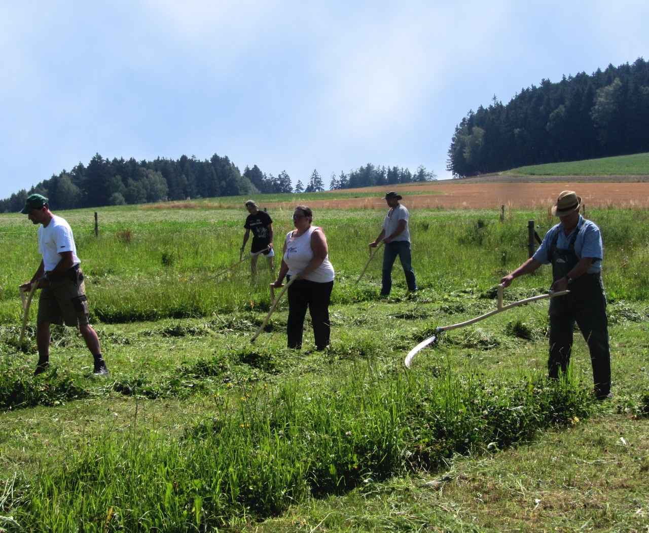 Dengelkurs - Dengeln mit dem Schlagdengler und Dengelamboss