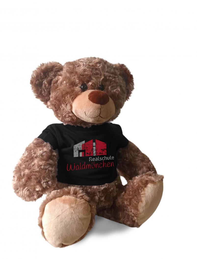 Teddy mit Tshirt REALSCHULE WALDMÜNCHEN - 35 cm - Plüschtier
