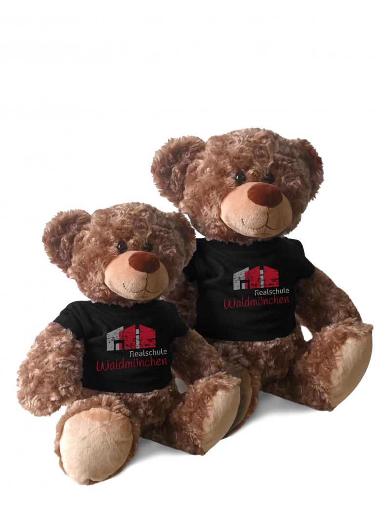 Teddy mit Tshirt REALSCHULE WALDMÜNCHEN - 35 cm - Plüschtier